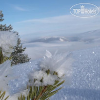 Sarikamis Snow Life Hotel 