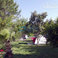 Gurkan Apartment