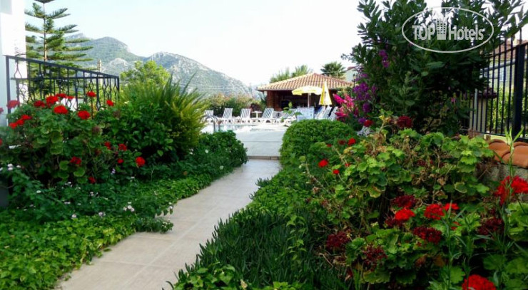 New photos from tourists Yaprak