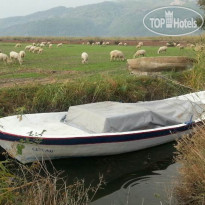 Yeni Adet
