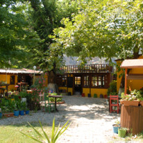 Dalyan Camping 