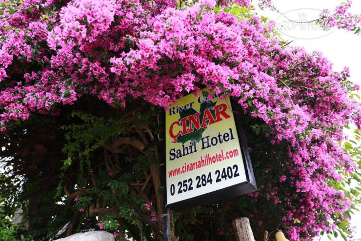Hotel photo Cinar Sahil Pansiyon 