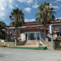 Dalyan Palmiye