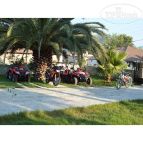 Dalyan Palmiye