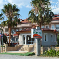 Dalyan Palmiye