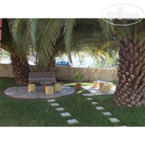 Dalyan Palmiye