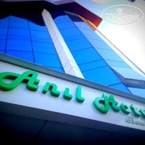 Anil