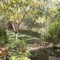 Karaburun Eco Hotel