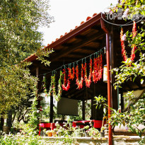 Stonehouse By Ipek Hotel
