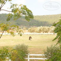 Konvoy Hotel & The Country Club Территория отеля