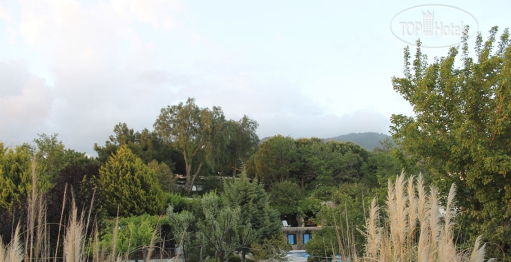 New photos from tourists Babylon Gardens Apart Hotel