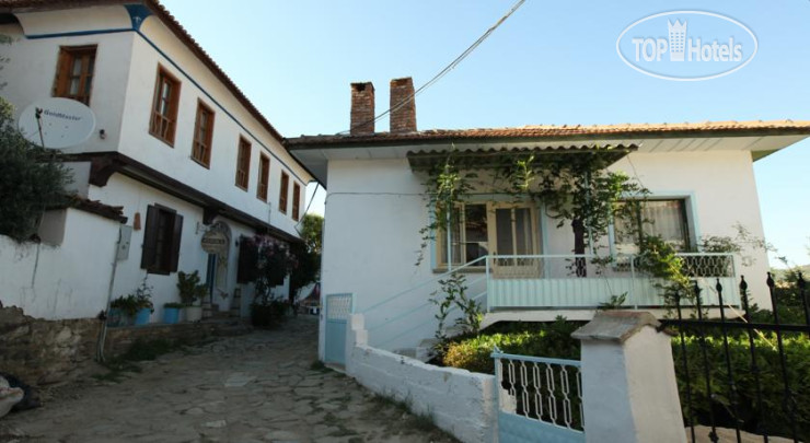 Hotel photo Wisteria Guest House 