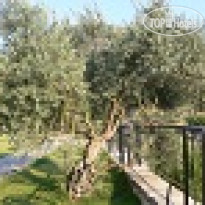 Natureland Efes Pension 