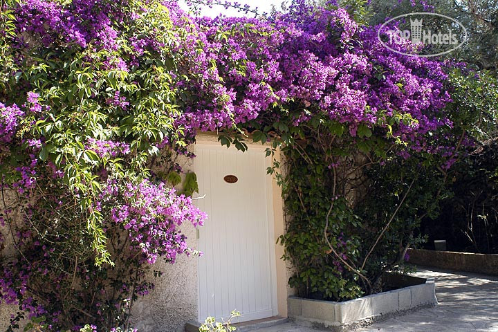 Hotelier's photos Eden Park 4*