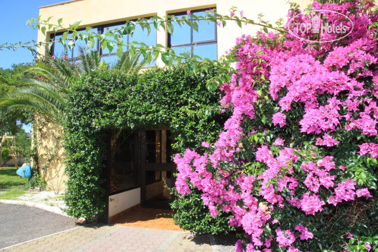 New photos from tourists Isola 3*