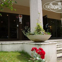 Comfort Hotel Des Sources 