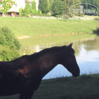Manoir du Grand Vignoble 