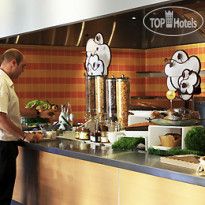 Ibis Loriol Le Pouzin 