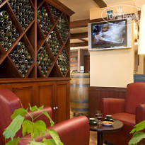 Ibis Lyon Sud Saint Rambert dAlbon 