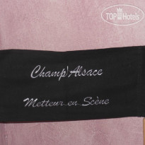 Champ Alsace Hotel Aerodrome 