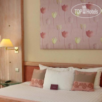 Mercure Limoges Royal Limousin 