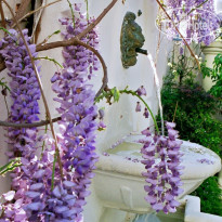 De La Fontaine