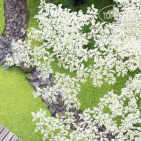 Le Pavillon de la Reine 