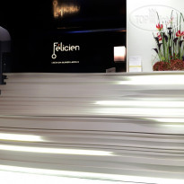 Felicien by Elegancia 