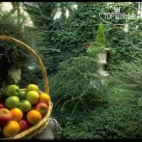 Libertel Canal Saint-Martin 