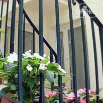 Alexandrine Opera