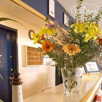 Stars Evry Courcouronnes 