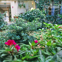 Best Western Montcalm 