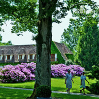 Auberge des Templiers 