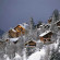 Le Grand Chalets Des Pistes 