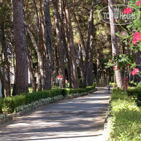 Villa Galijot Plava Laguna 
