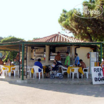 Kazela Camping 