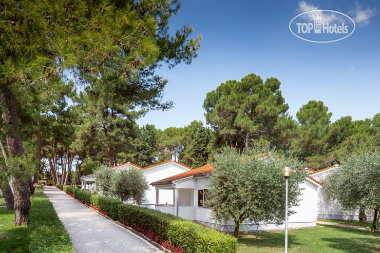New photos from tourists Apartments Galijot Plava Laguna 4*