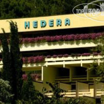 Hedera 