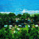 Camping Pineta 
