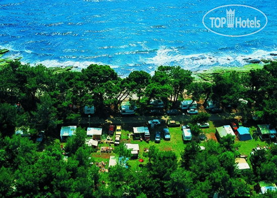 New photos from tourists Camping Pineta