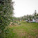 Camping Pineta 