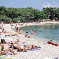 Island Brac 