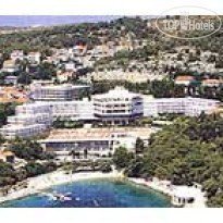 Amfora