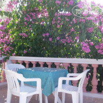 Villa Ibis