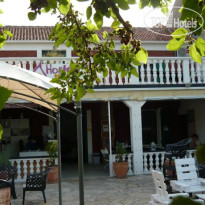 The Wild Fig Hostel