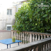 The Wild Fig Hostel
