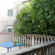 The Wild Fig Hostel 