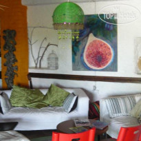 The Wild Fig Hostel