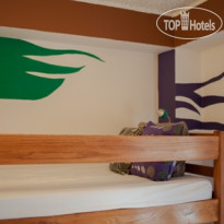 The Wild Fig Hostel