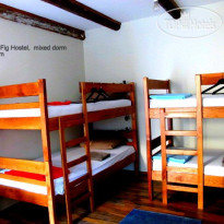 The Wild Fig Hostel